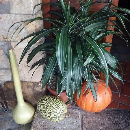 La Llosa De Viveda - Adults Only Santillana del Mar