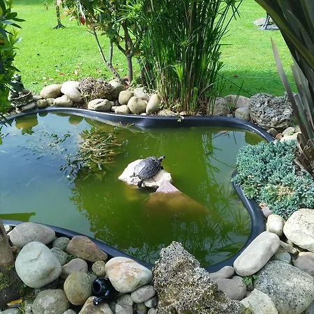 La Llosa De Viveda - Adults Only