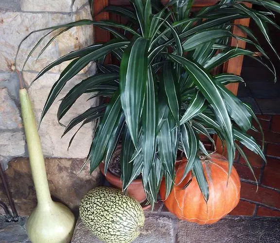 La Llosa De Viveda - Adults Only Santillana del Mar